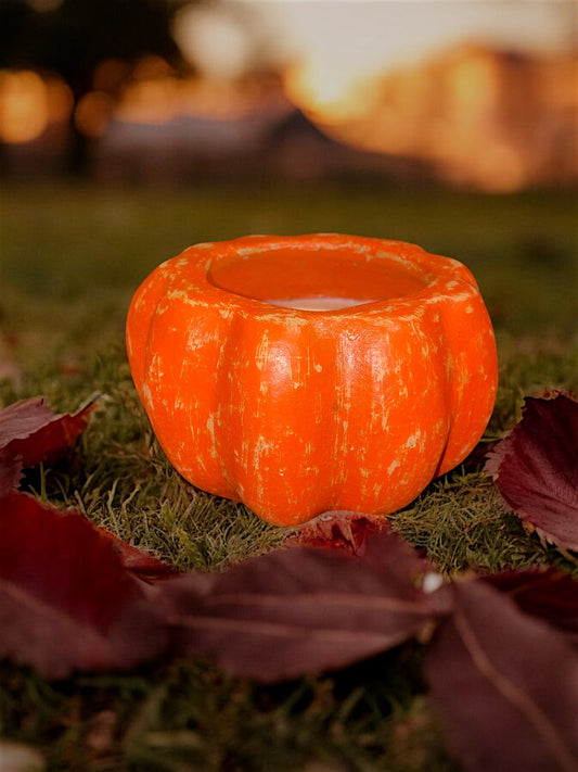 14oz Fall Pumpkin Candle *Fall Edition* Vanilla Pumpkin Pie