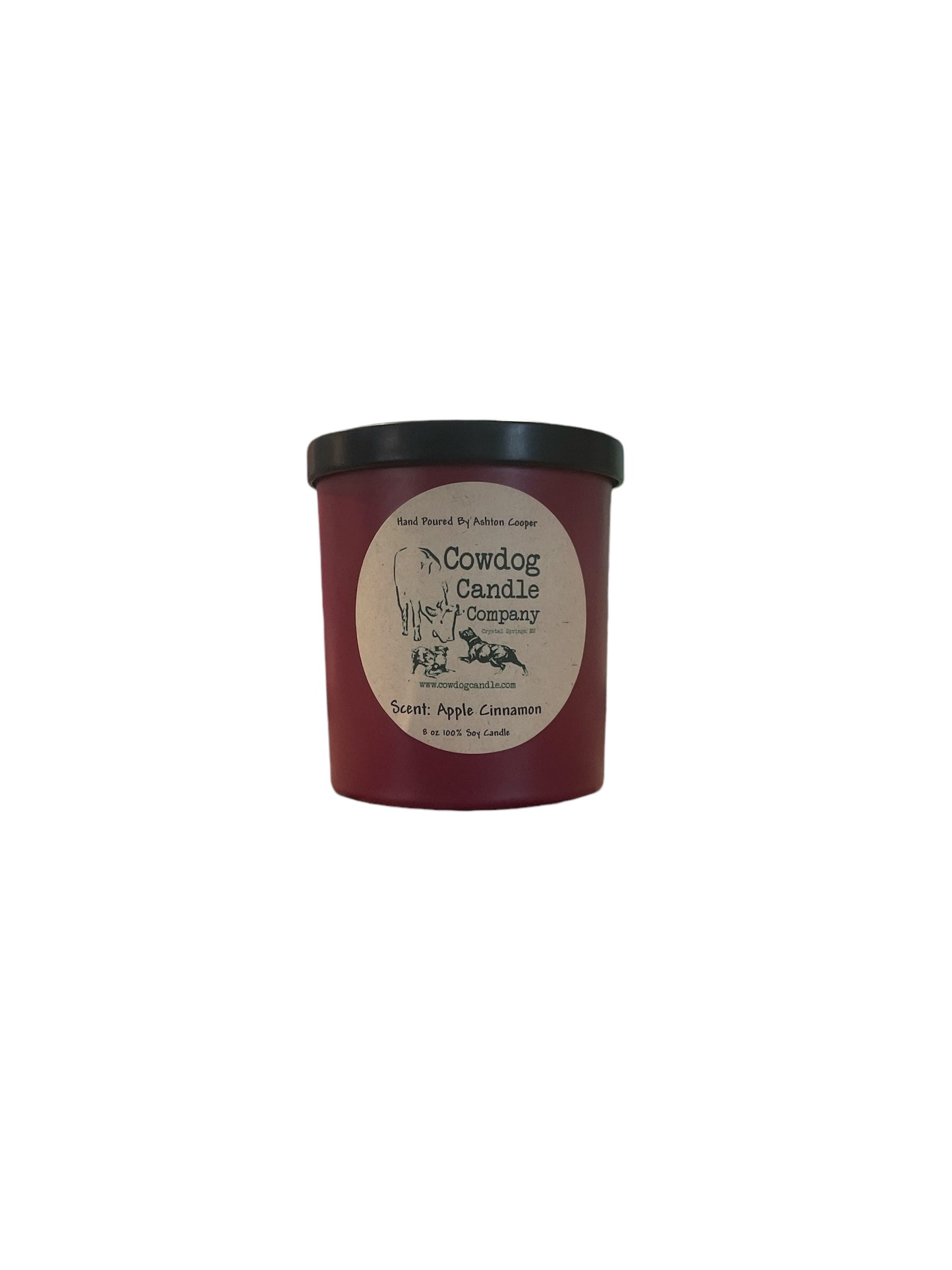 8oz Apple Cinnamon Candle*Fall Edition*